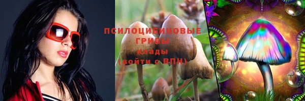 мет Инта