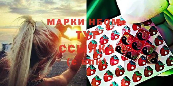 мет Инта