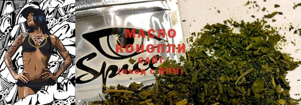 мет Инта