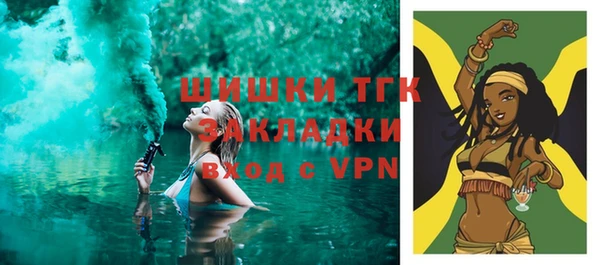 мет Инта