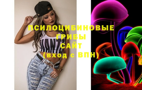 мет Инта