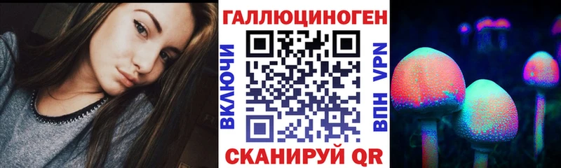 Купить закладки  Камызяк  Псилоцибиновые грибы GOLDEN TEACHER 